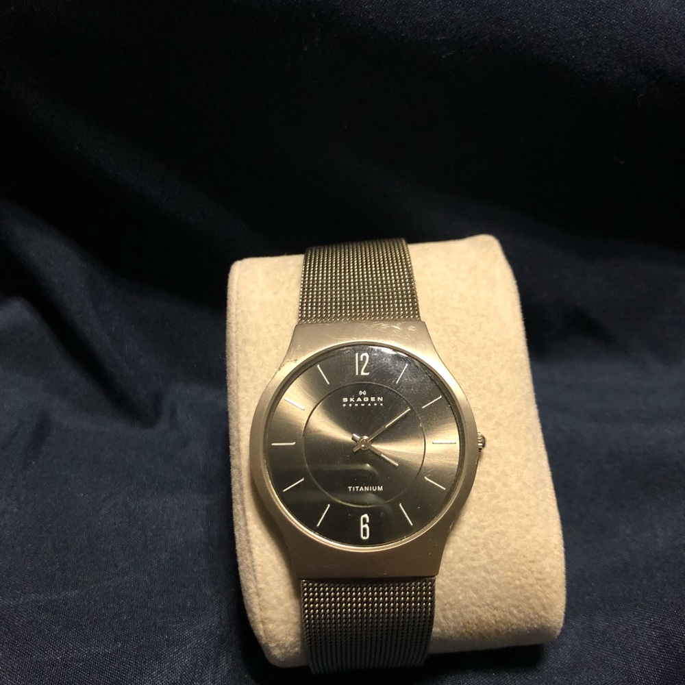 Skagen silver mesh watch
